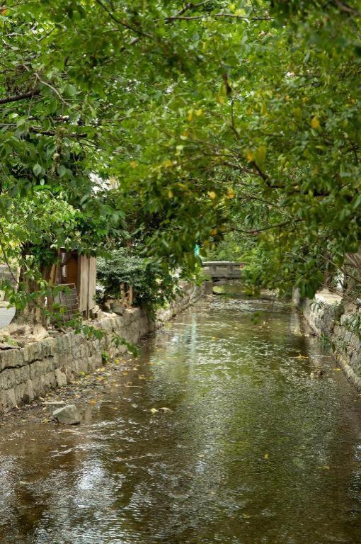 Kyoto Hatsune Hotel Exteriör bild